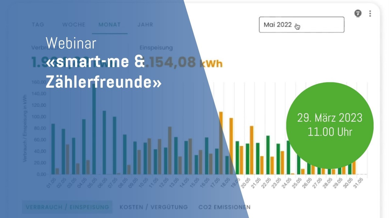 Webinar Zählerfreunde smart Meter Daten viosualisieren