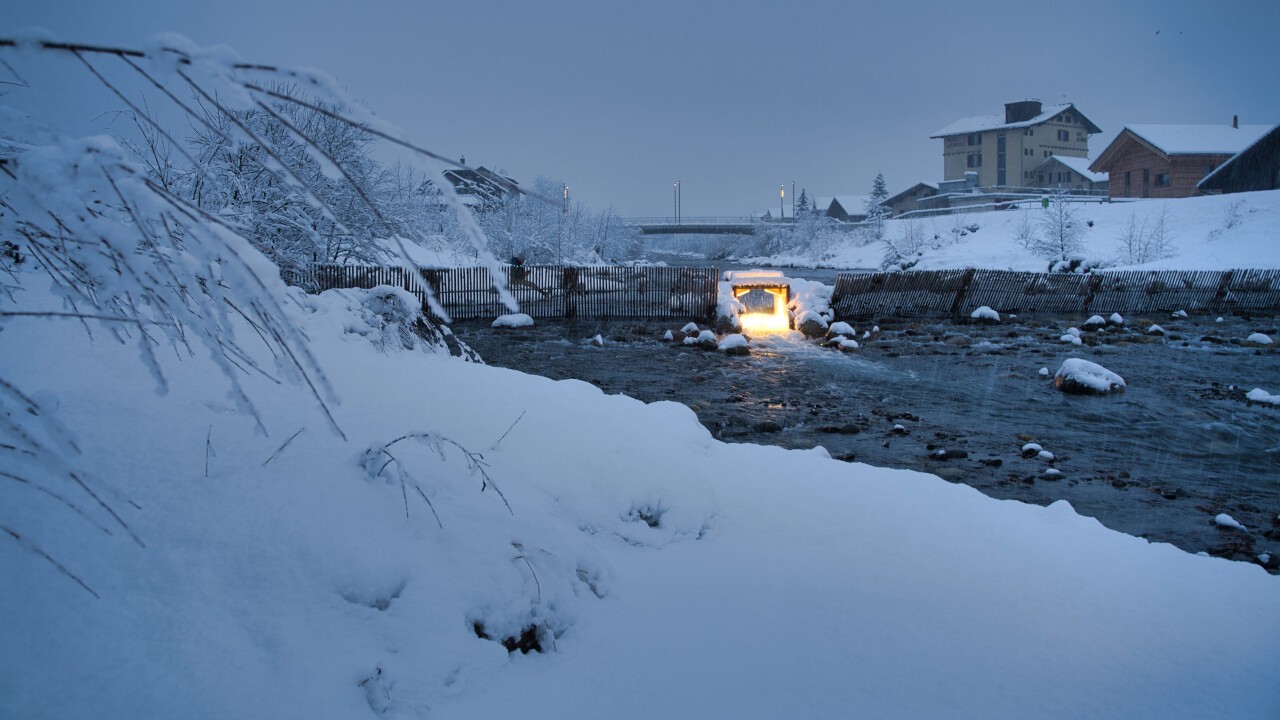 Fischzählanlage