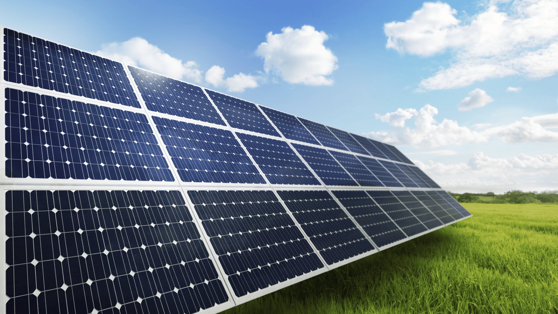 Ein Sonnenkollektor auf einer Wiese.