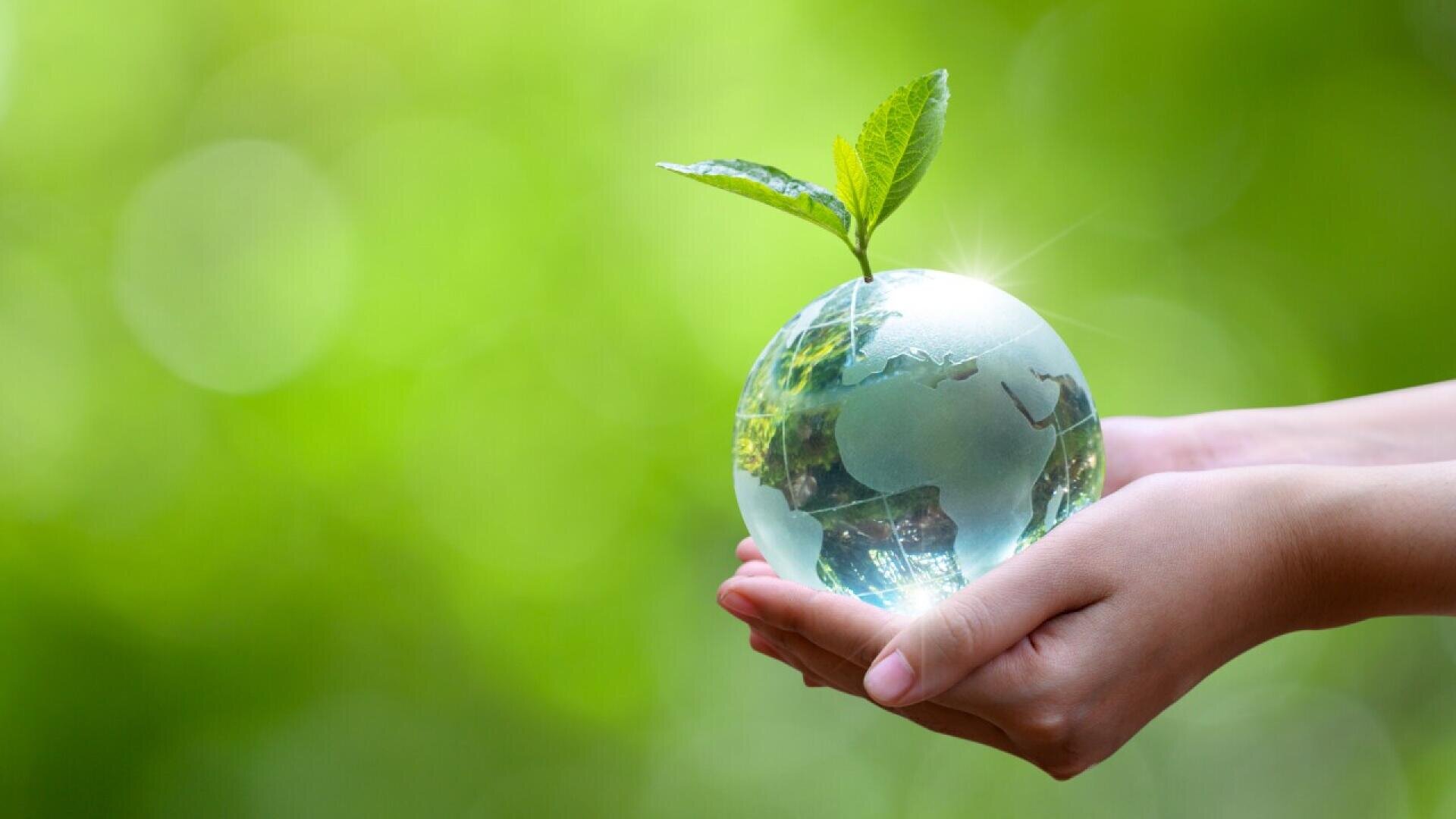 A pair of hands gently holding a glass globe with a small green plant sprouting from it, symbolizing environmental care and sustainability, against a blurred green background.