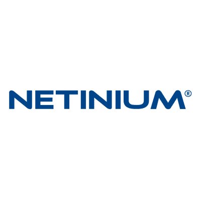 Logo Netinium BV