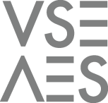 VSE Logo